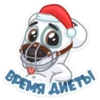 Новогодний Спотти / New Year's Spotty 18