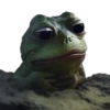Neural pepe — заходи 18