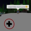 Roblox's Sluts 16