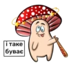 happy mushrooms 15