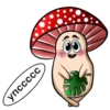 happy mushrooms 16