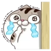 Fat Cat Ami @StickersCloud 18