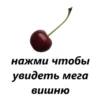 Зарикроллен! ТГК: @memesdaily_official 25