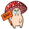 happy mushrooms 17