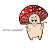 happy mushrooms 18