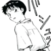 NGE manga 24