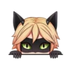 Ladybug 23