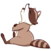 Bandit Raccoon 19