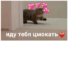 Kiss 29