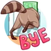 Bandit Raccoon 20
