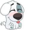 Dog 26