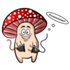 happy mushrooms 21