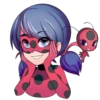 Ladybug 24