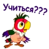 Учиться???