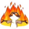 Bandit Raccoon 21