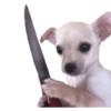 memes de cachorros 30