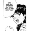 NGE manga 29
