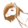 Ask Coffeeverse 6
