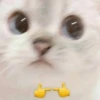 ты зайка♡@cutebunniess :: 13