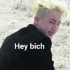 Hey bich