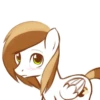 Ask Coffeeverse 16