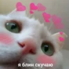 я блин скучаю