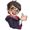Harry Potter 12