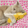 *обнимаю тебя*