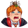 Harry Potter 20