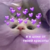 CAL ЛЭНД Я в шоке от твоей красоты