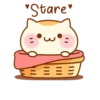 Sweet Kitty 19