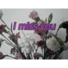 Alin's humor 25