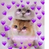 я люблю тебя