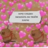хочу сладко засыпать на твоём плече