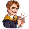Harry Potter 28