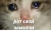 рот свой замолчи