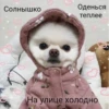 Солнышко Оденься теплее emillepika hi На улице холодно