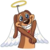 Cupid Dog 11