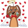 Cupid Dog 12