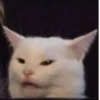 Kitty_Cat :: @fStikBot 29