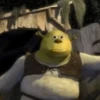 Shrek is ❤️ 5