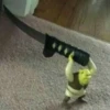 Shrek is ❤️ 7