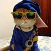 GATITOS RANDOMM 5