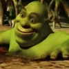 Shrek is ❤️ 8