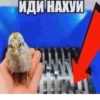 Больше @new_stickerbot 13