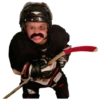 Anaheim Ducks 8