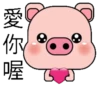 Blessing Pig 8