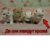 Больше @new_stickerbot 17