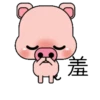 Blessing Pig 10