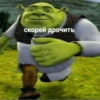 Shrek is ❤️ 11